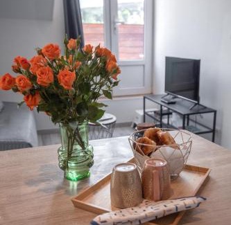 Bellevue - Le Mont - La Jomayere Apartamento | Le Nid vue et détente à St Etienne