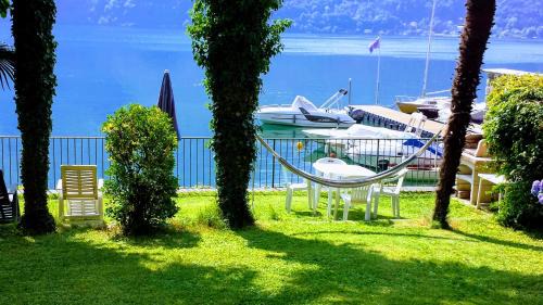 Cima Casa | Le palme Antonella