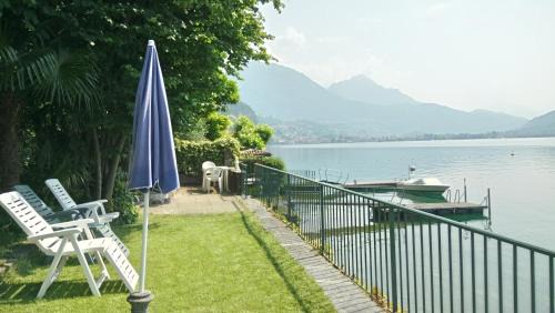 Cima Casa | Le palme Antonella