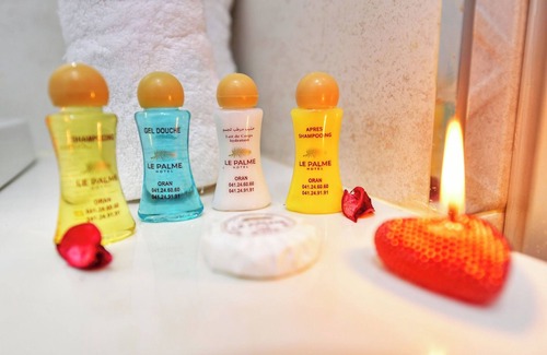 Oran Hotel | Le Palme Hotel Oran