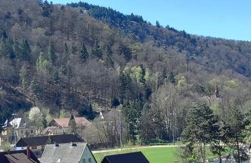 Kaysersberg-Vignoble Apartamento | Le panorama - Appartement meublé 5 pièces cuisine salle de bain