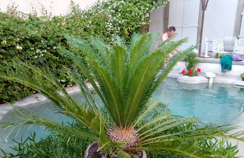 Verzeille Cama Y Desayuno | Le Patio Des Senteurs
