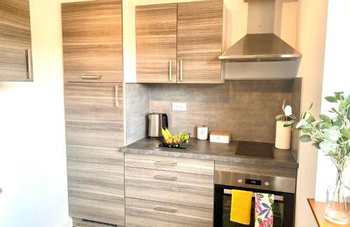Ingersheim Apartamento | Le Petit Letzenberg