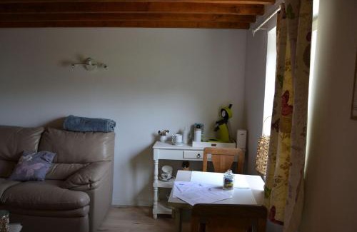 Sy Casa | Le Petit Papillon