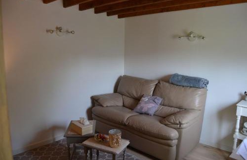 Sy Casa | Le Petit Papillon