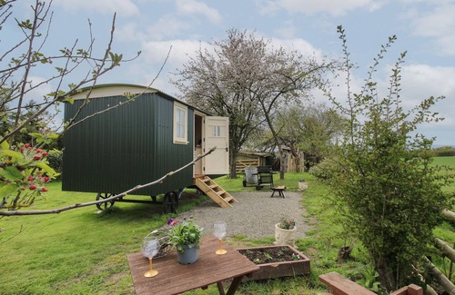Clows Top Cabaña | Le Petite Pound House