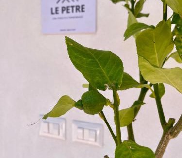 Tramonti Apartamento | Le Petre - Amalfi Coast Apartments