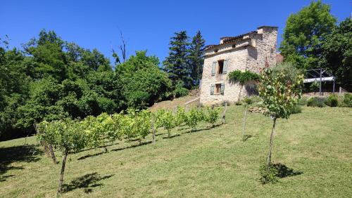 Caylus Casa | Le pigeonnier de felines