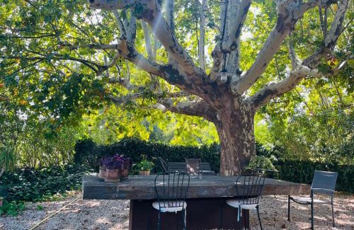 Puyvert Casa | Le Provençal Duplex piscine jardin le Luberon