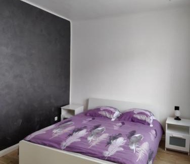 Sarreguemines Apartamento | Le Purple, appartement de standing en hypercentre