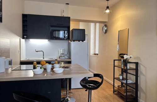 Chatel-Guyon Apartamento | Le Puy de Dôme n°202