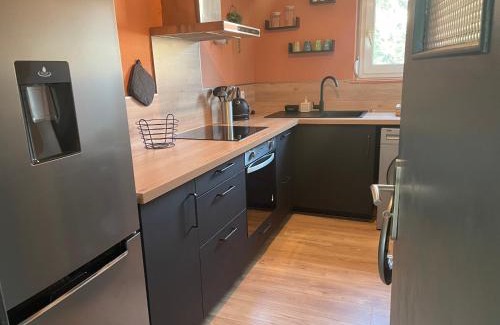 Quartier Saint-Leon Apartamento | - Le refuge Colmarien - 5 personnes