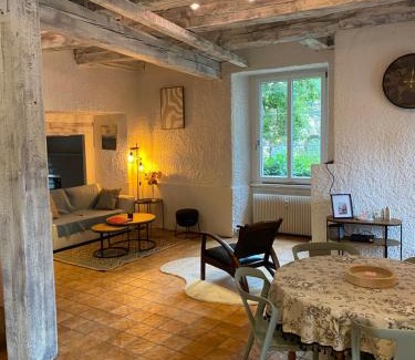 Belfort Apartamento | Le refuge du lion