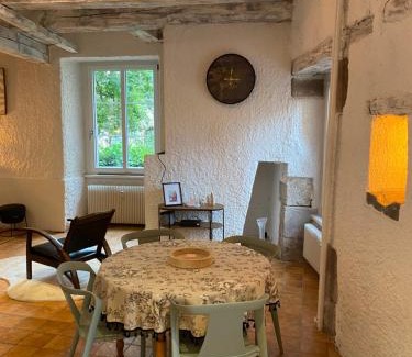 Belfort Apartamento | Le refuge du lion