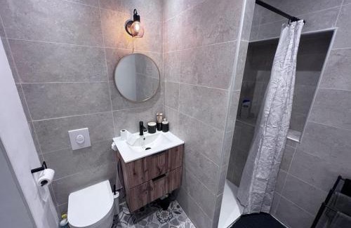 Belfort Apartamento | Le refuge du lion