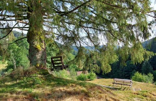 Gerardmer Chalet De Esquí | Le Refuge perché du saut de la bourrique SPA, terrain clôturé Gérardmer