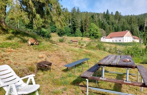 Gerardmer Chalet De Esquí | Le Refuge perché du saut de la bourrique SPA, terrain clôturé Gérardmer