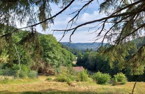 Gerardmer Chalet De Esquí | Le Refuge perché du saut de la bourrique SPA, terrain clôturé Gérardmer