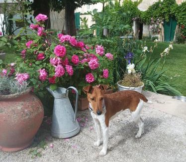 Vatan Casa | Le Relais des Roses- Chambres d'hôtes