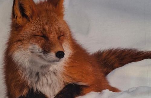 Trois-Ponts Cama Y Desayuno | Le Renard'or