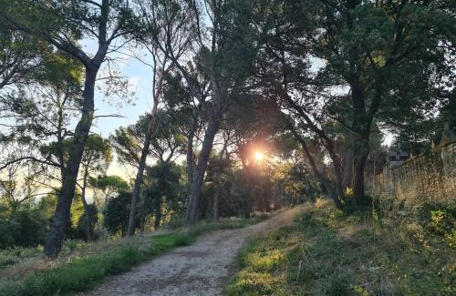 Barbentane Casa | Le repaire de Mélusine