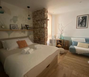 Saint-Cyprien Apartamento | LE SAINT CYP - Toulouse - appart entier cosy et au calme, proche du métro
