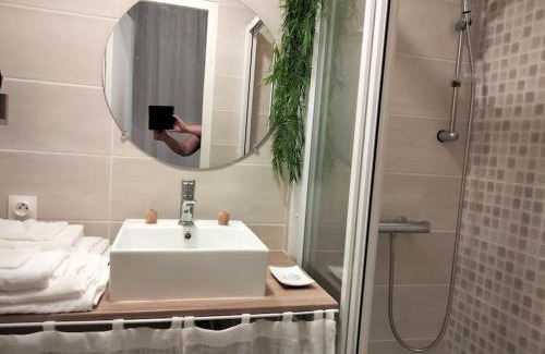 Cœur de Ville Apartamento | LE SAINT LOUIS - Hypercentre - Opéra - Proche Parcs