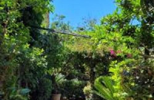 Caserta Cama Y Desayuno | Le Sale Resort