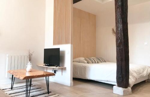 Auch Apartamento | Le Seize - Studio dans le centre historique d'Auch