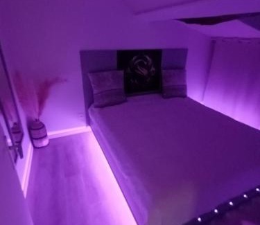 Paulhac Apartamento | Le SPArt un jacuzzi une salle de sport un appartement entièrement équipée pour votre bien être