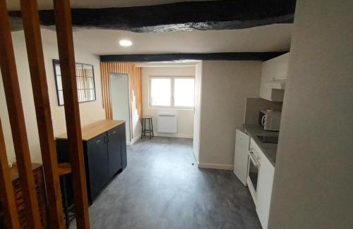 Paulhac Apartamento | Le SPArt un jacuzzi une salle de sport un appartement entièrement équipée pour votre bien être