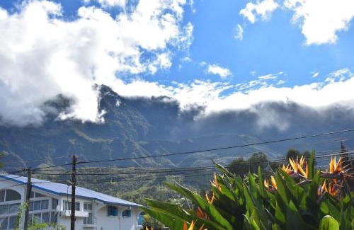 Cilaos Apartamento | le Strelitzia 1