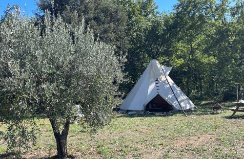 Trans-en-Provence Otro | Le tipi Naskapi