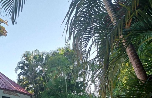 Mahahanga Tanana Hotel | Le Tropicana