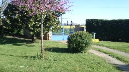 Gaillac Cama Y Desayuno | Le violet