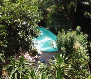 Nice City Centre Hotel | Le Windsor, Jungle Art Hotel