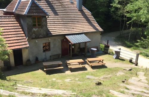 Sainte-Marie-aux-Mines Apartamento | Le Zillhardthof