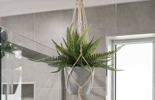 Wyoming Casa | Leafy Family Oasis - Wyoming, NSW