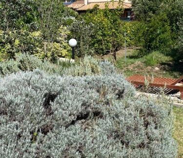 Chia Cama Y Desayuno | LeCalleBed-Breakfast