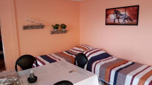 Province of Tierra del Fuego Apartamento | Lecao