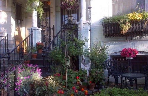 Le Droit Park Cama Y Desayuno | Ledroit Park Renaissance Bed and Breakfast