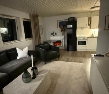 Tromso Apartamento | Leilighet i nord