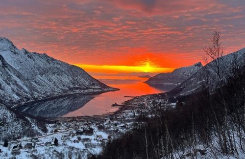 Torsken Apartamento | Leilighet i rorbu på Kaldfarnes - Yttersia Senja