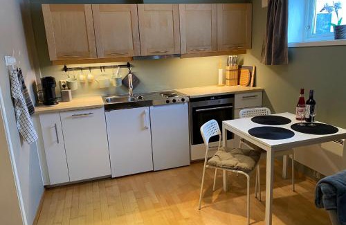 Sandefjord Apartamento | Leilighet sentralt til Sandefjord og Torp flyplass