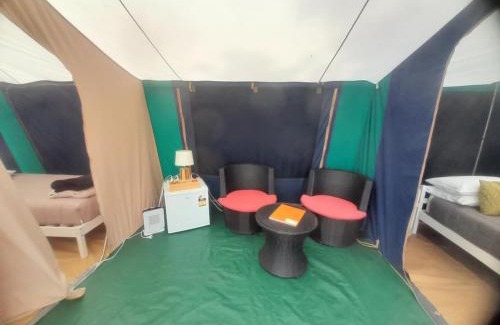 Leithfield Complejo | Leithfield Beach Holiday Park