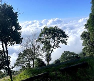 Kurseong Casa | Lemos Cafe and Homestay