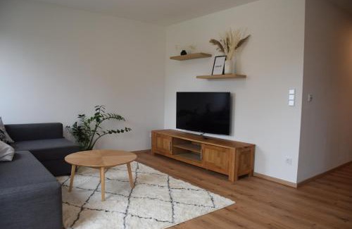 Gmunden Apartamento | Lenau Apartment