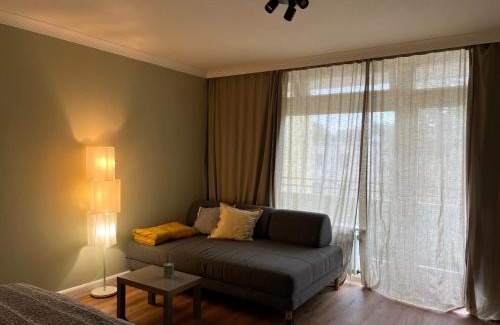 Innenstadt Apartamento | Leo Flat