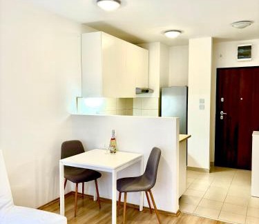 Ferencvaros Apartamento | Leo residence