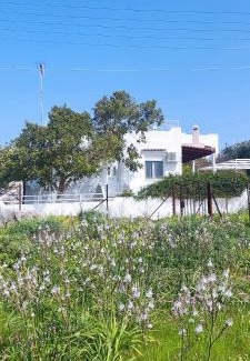 Kontos Casa | Leodi Place
